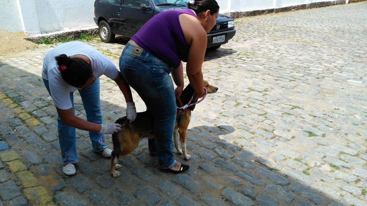 Dia "D"  Vacinação Anti-Rábica